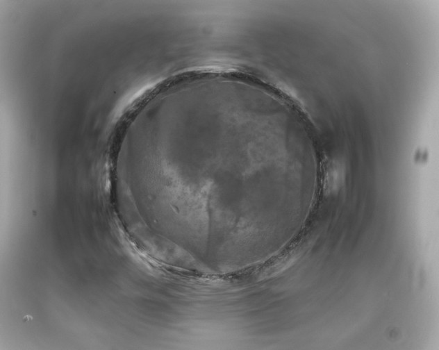 X0000092091448200709121503