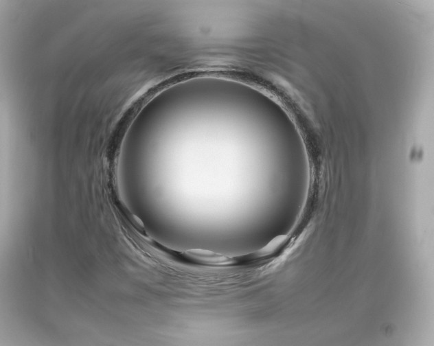 X0000092091449200709121503
