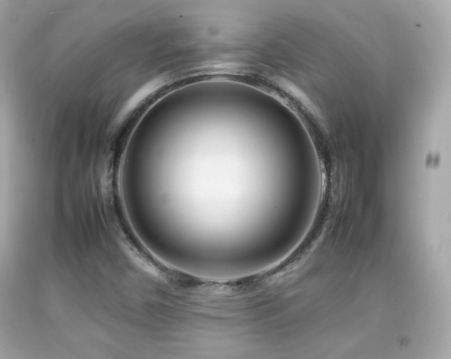X0000092091450200709121503