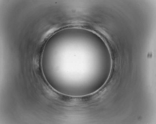 X0000092091451200709121503