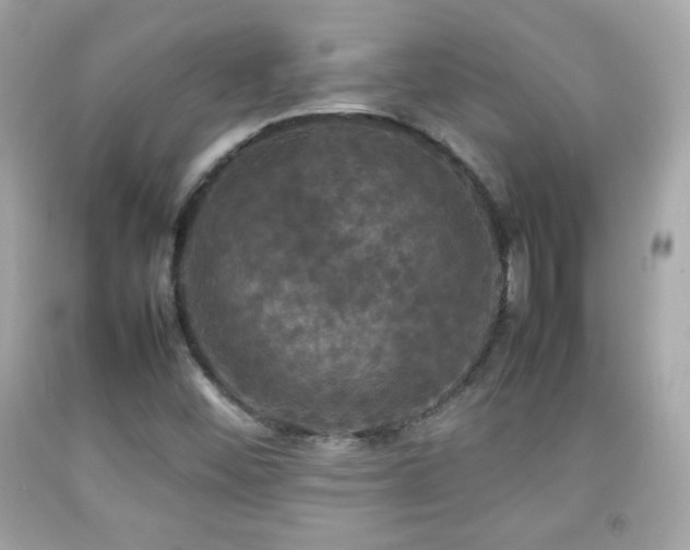 X0000092091452200709121503
