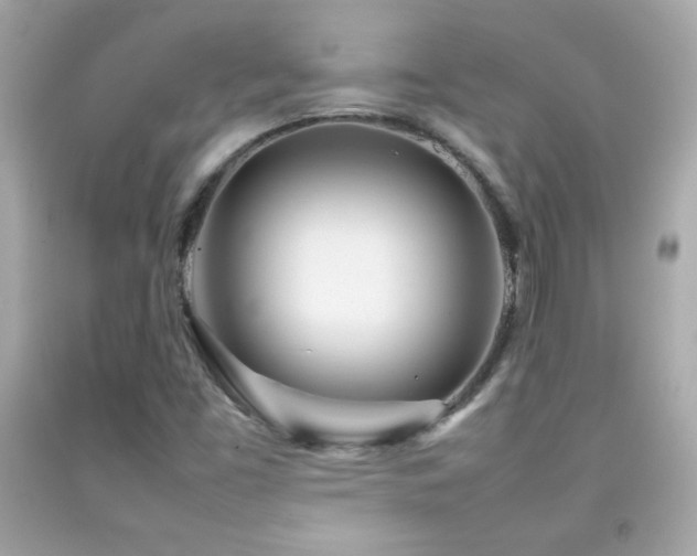 X0000092091453200709121503