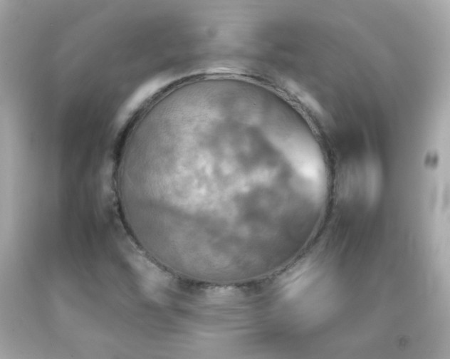 X0000092091454200709121503