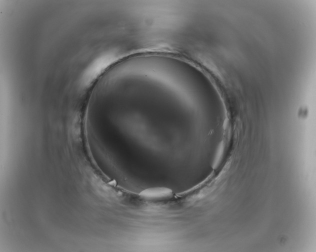 X0000092091455200709121503
