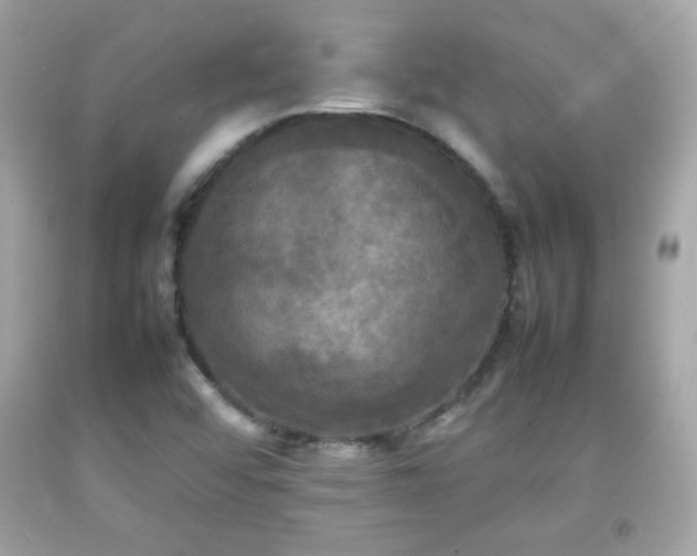 X0000092091456200709121503