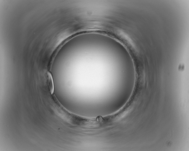 X0000092091457200709121503