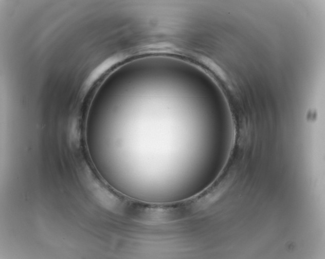 X0000092091458200709121503