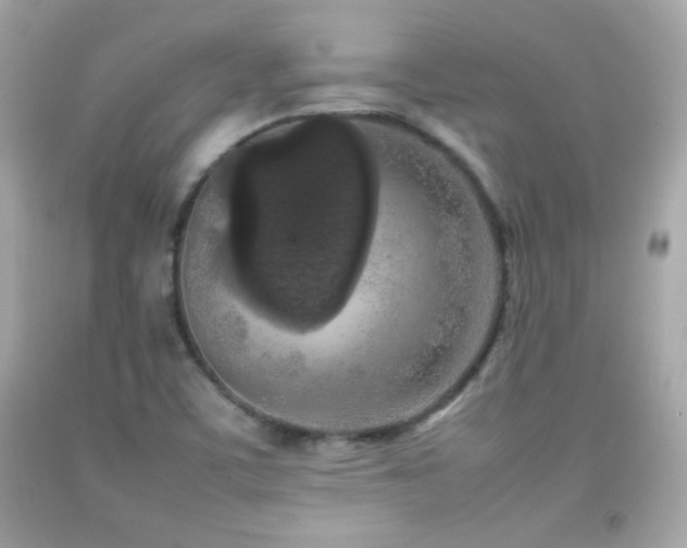 X0000092091459200709121503