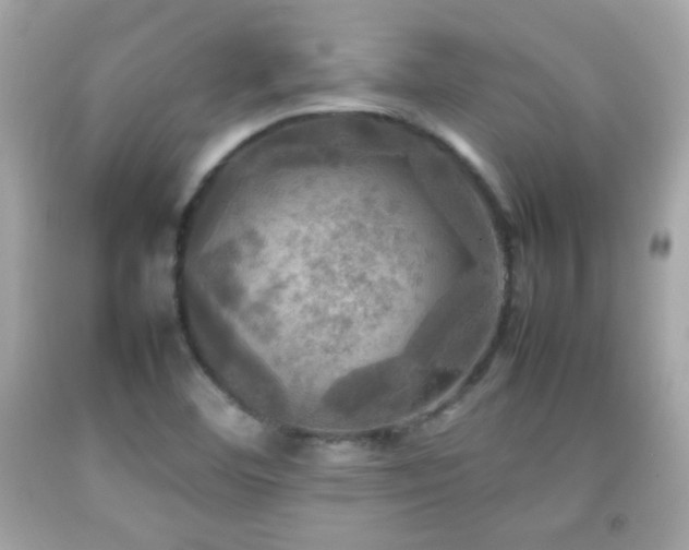 X0000092091460200709121503