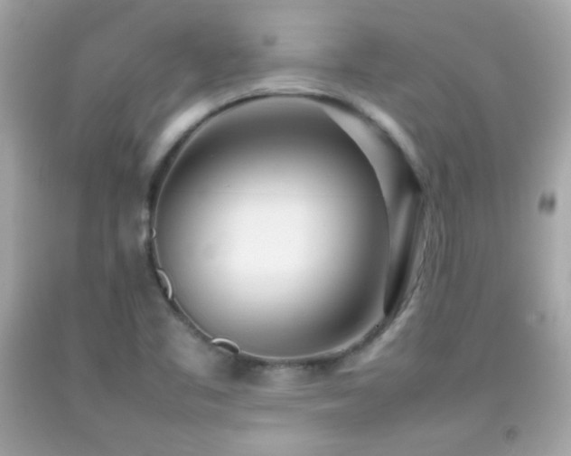 X0000092091461200709121503