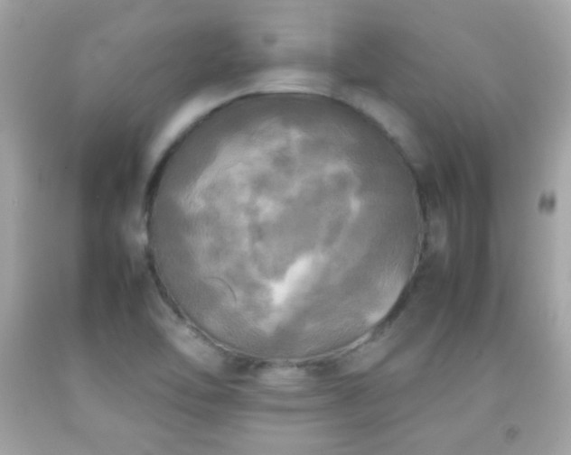 X0000092091462200709121503