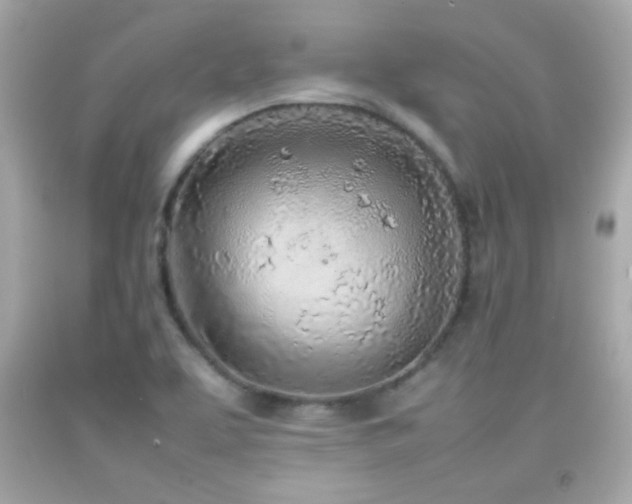 X0000092091463200709121503