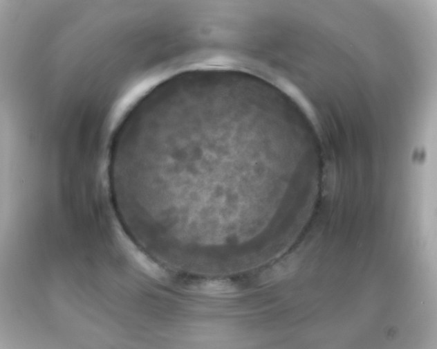 X0000092091464200709121503