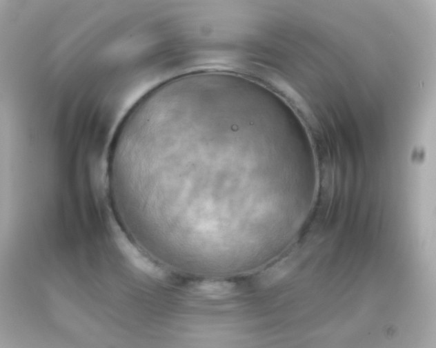 X0000092091466200709121503