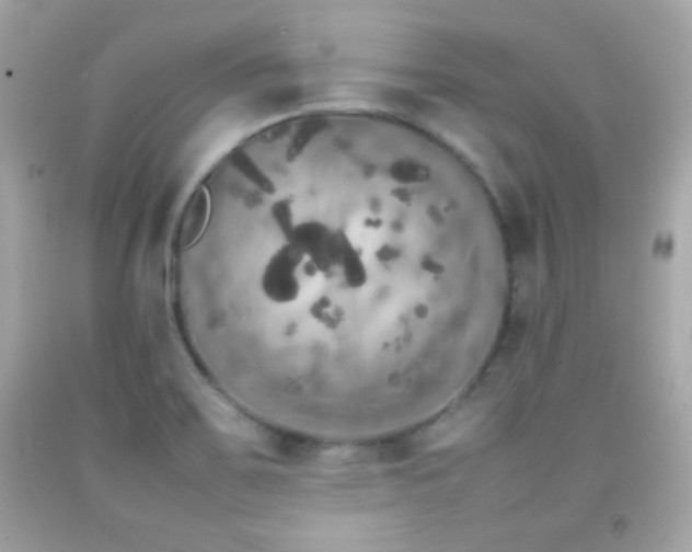 X0000092091467200709121503