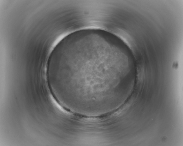 X0000092091468200709121503