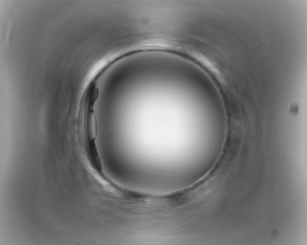 X0000092091469200709121502
