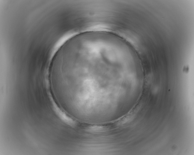 X0000092091470200709121502