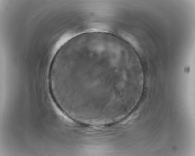 X0000092091471200709121502