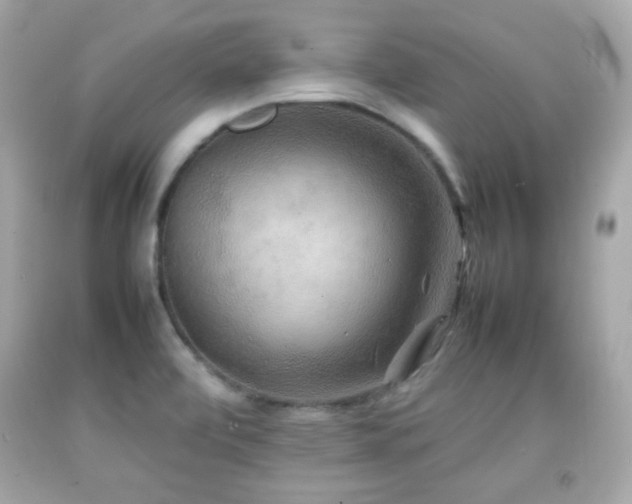X0000092091472200709121502