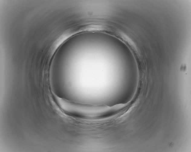 X0000092091473200709121502