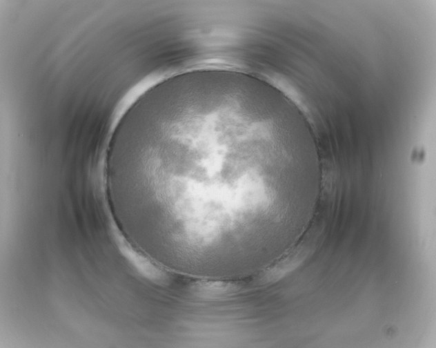 X0000092091474200709121502