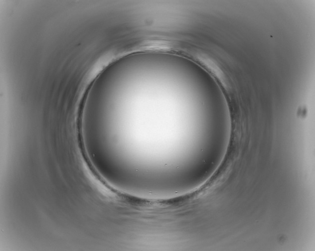 X0000092091475200709121502