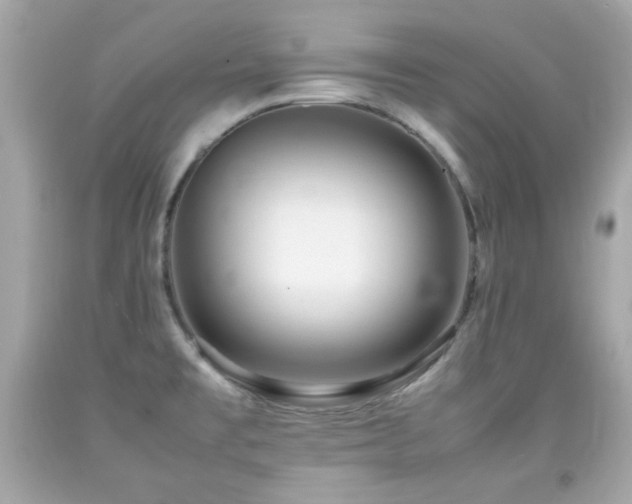 X0000092091477200709121502