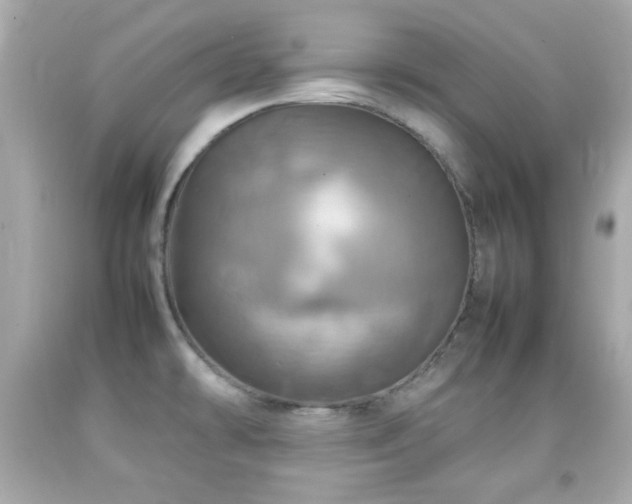 X0000092091478200709121502