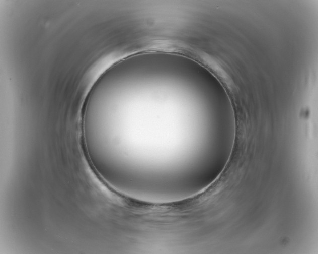 X0000092091479200709121502
