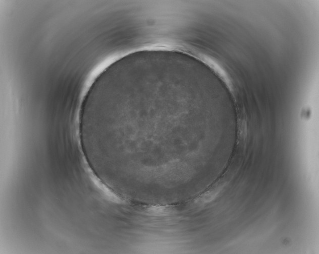 X0000092091480200709121502