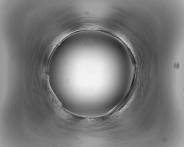 X0000092091481200709121502