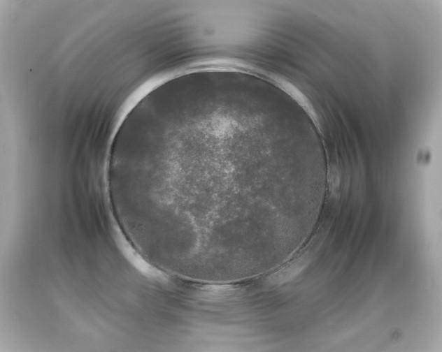 X0000092091482200709121502