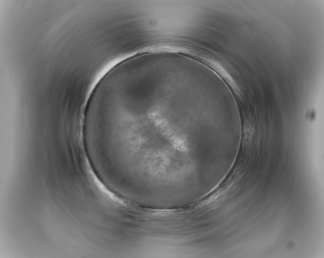 X0000092091484200709121502