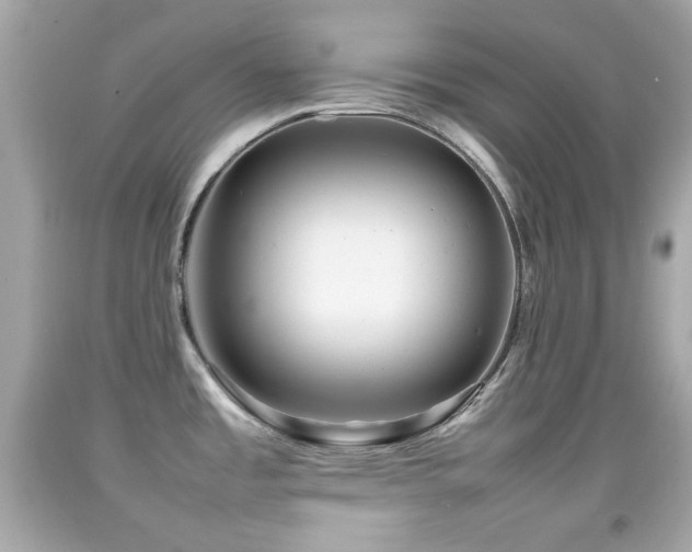 X0000092091485200709121502