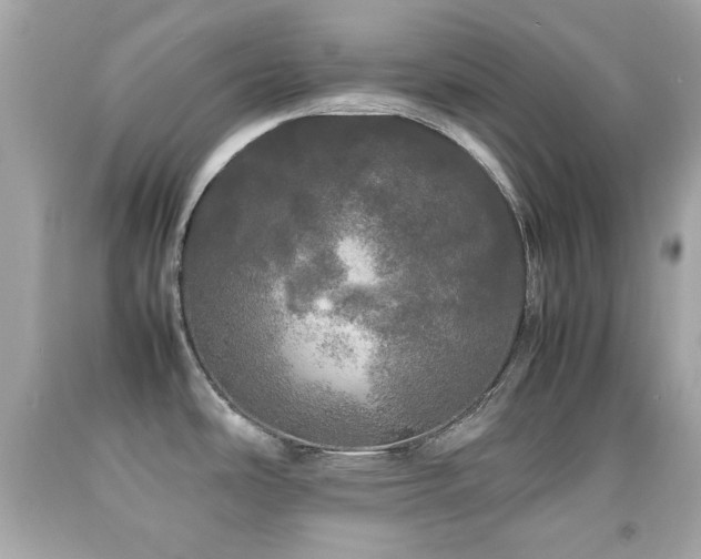 X0000092091486200709121502