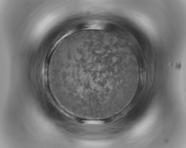X0000092091487200709121502