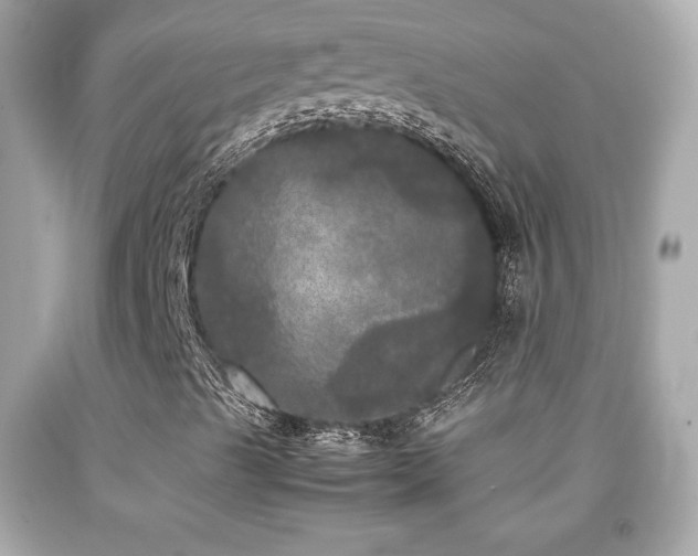 X0000092091489200709121502