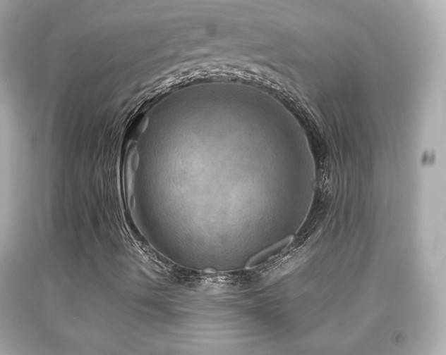 X0000092091490200709121502