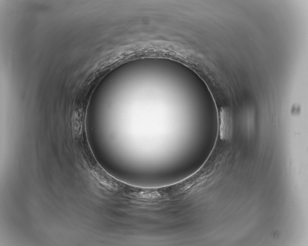X0000092091491200709121502