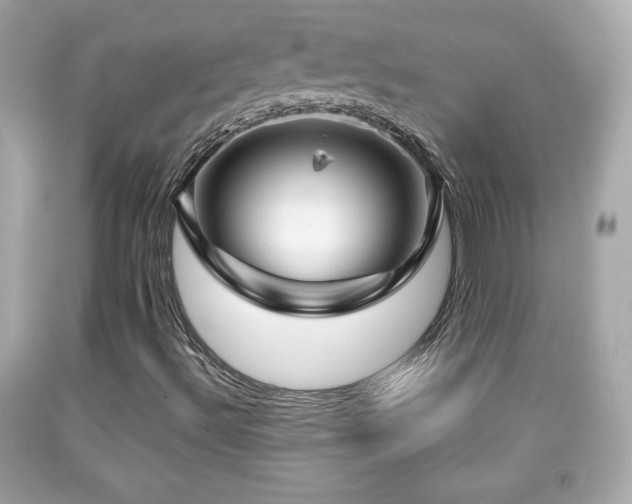 X0000092091492200709121502