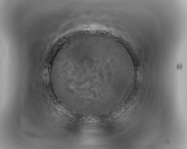 X0000092091493200709121502
