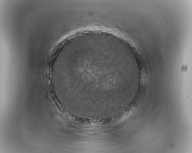 X0000092091494200709121502