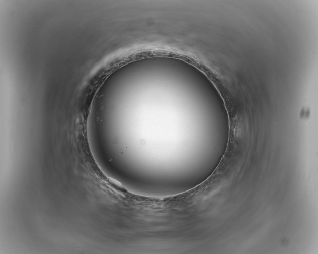 X0000092091495200709121502