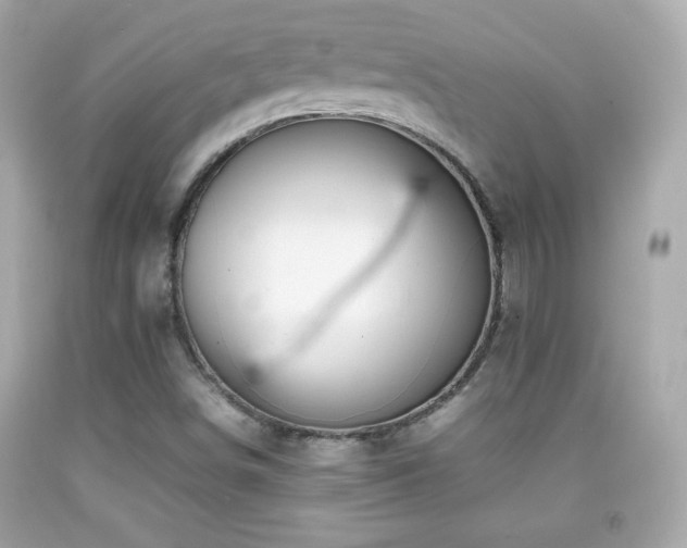 X0000092091498200709121502