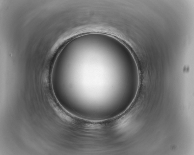 X0000092091499200709121502