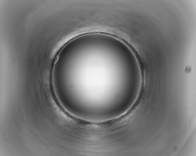 X0000092091500200709121502