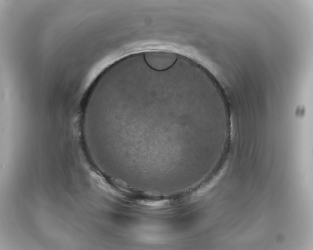 X0000092091501200709121502