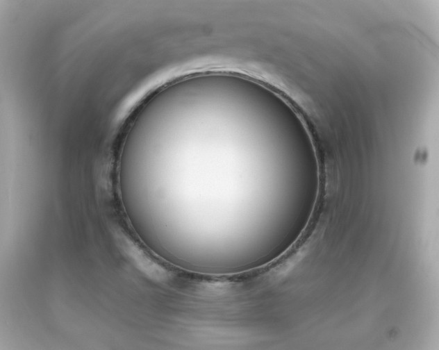 X0000092091502200709121502