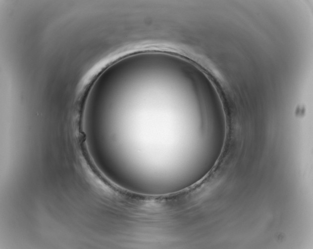 X0000092091504200709121502